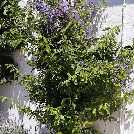 Apartment Sahara - Kastraki Kastrákion